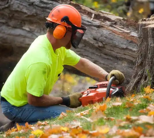 tree services Cutchogue